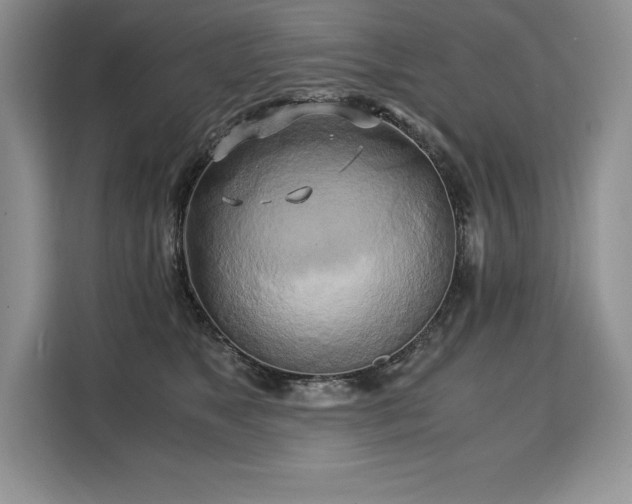 X0000110320517200905211529
