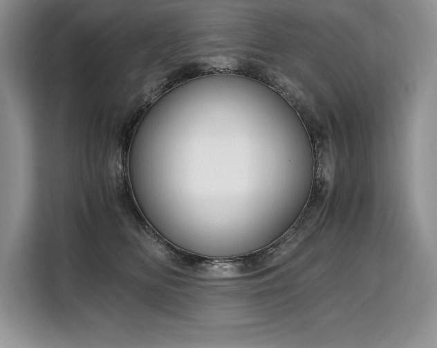 X0000110320518200905211529