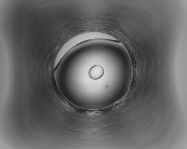 X0000110320520200905211529