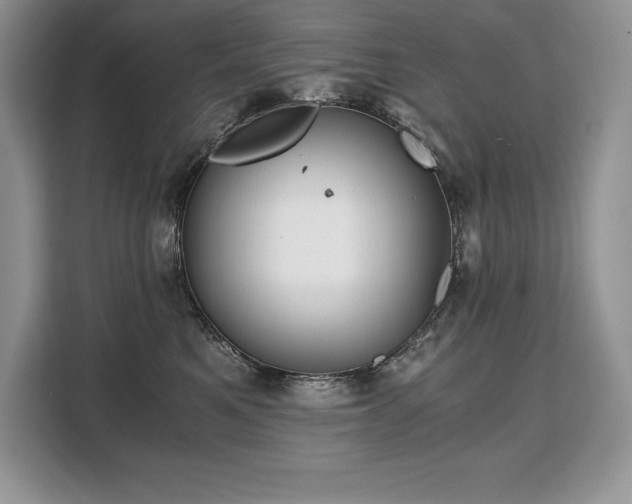 X0000110320521200905211529