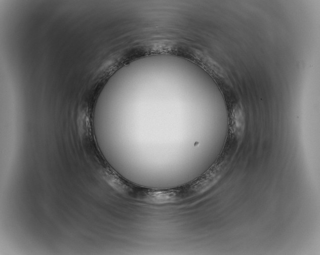 X0000110320522200905211529