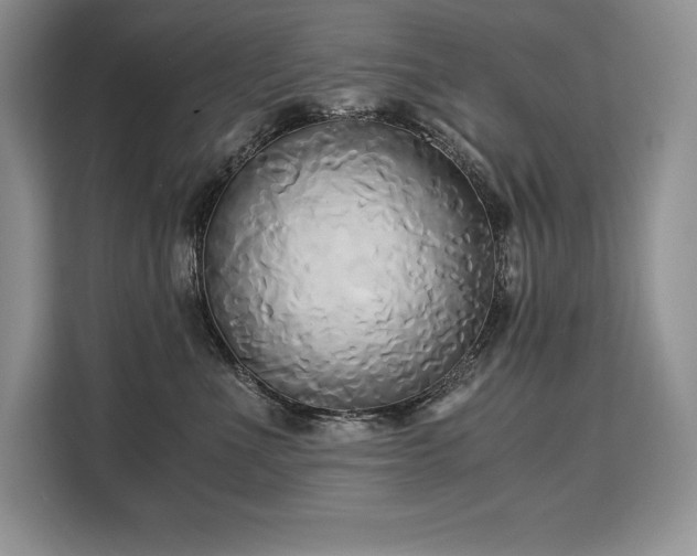 X0000110320523200905211529