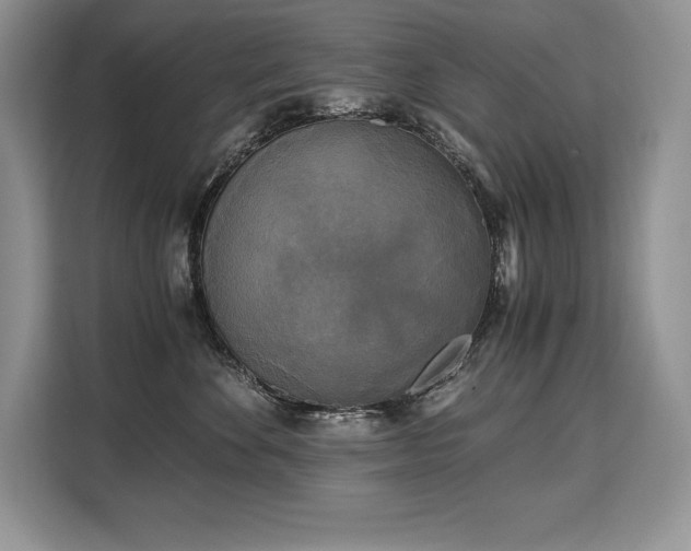 X0000110320524200905211529