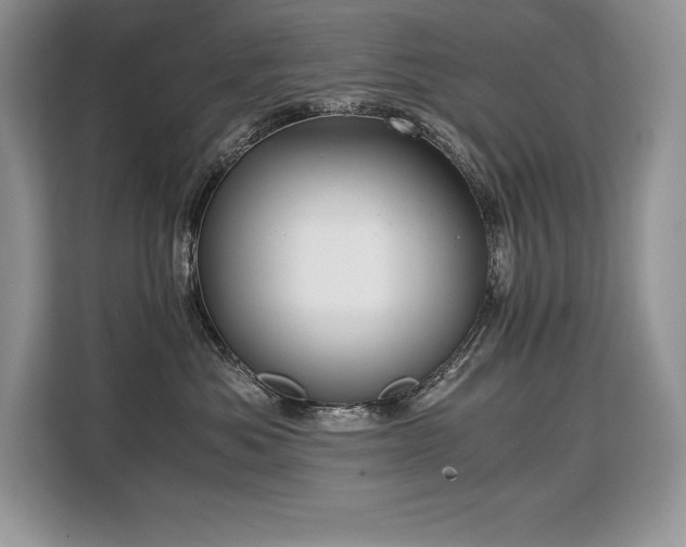 X0000110320525200905211529