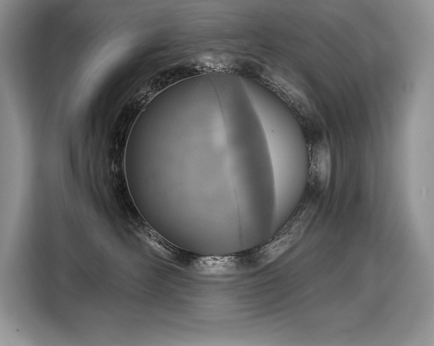 X0000110320526200905211529
