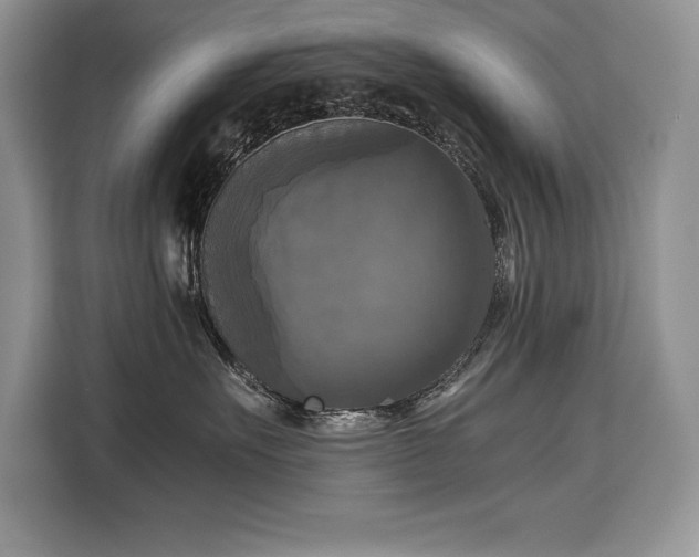 X0000110320527200905211529