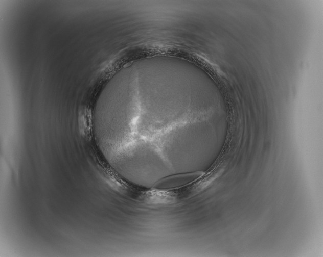 X0000110320528200905211529