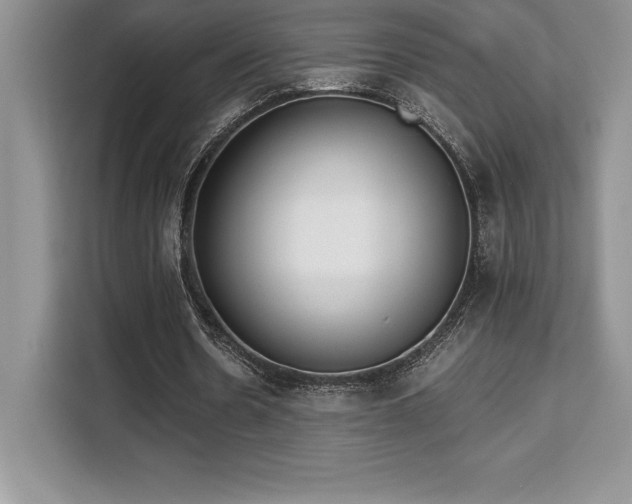 X0000110320530200905211528