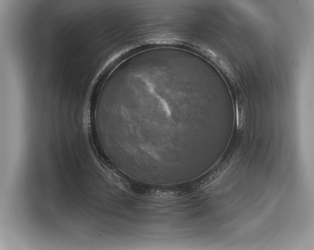X0000110320531200905211528