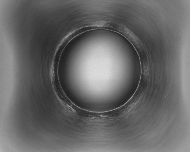 X0000110320532200905211528