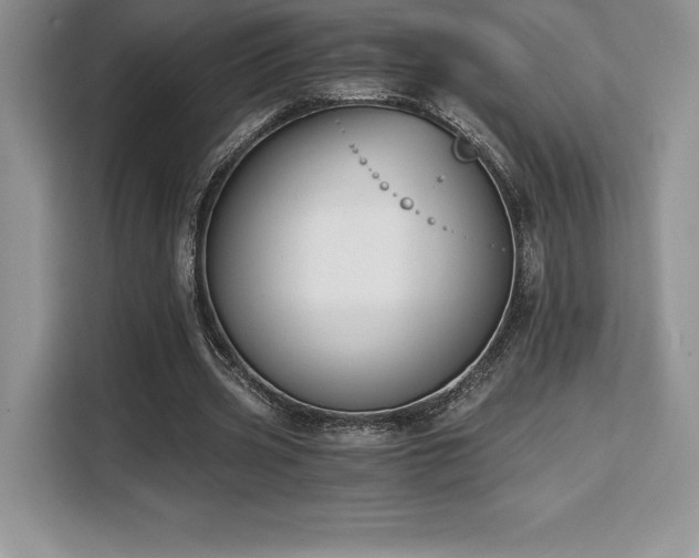 X0000110320533200905211528