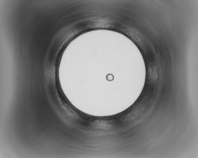 X0000110320534200905211528
