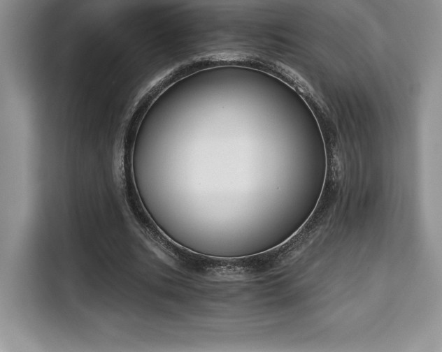 X0000110320535200905211528