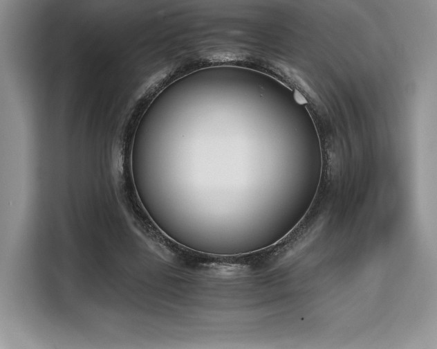 X0000110320539200905211528