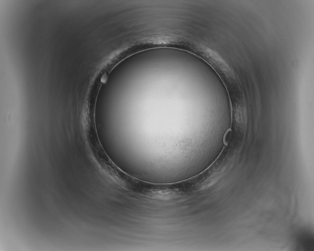 X0000110320540200905211528