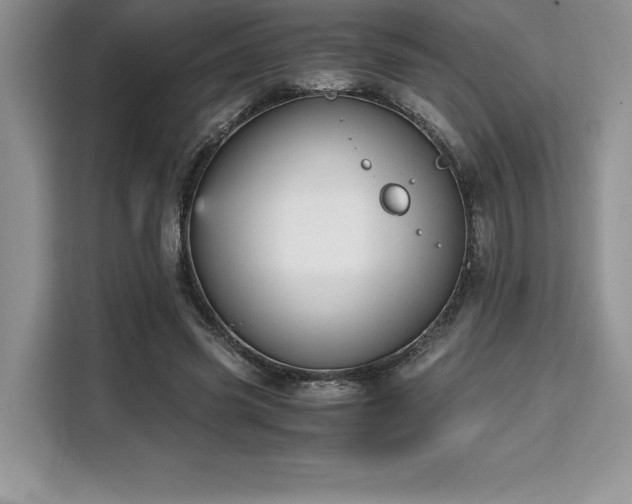 X0000110320541200905211528