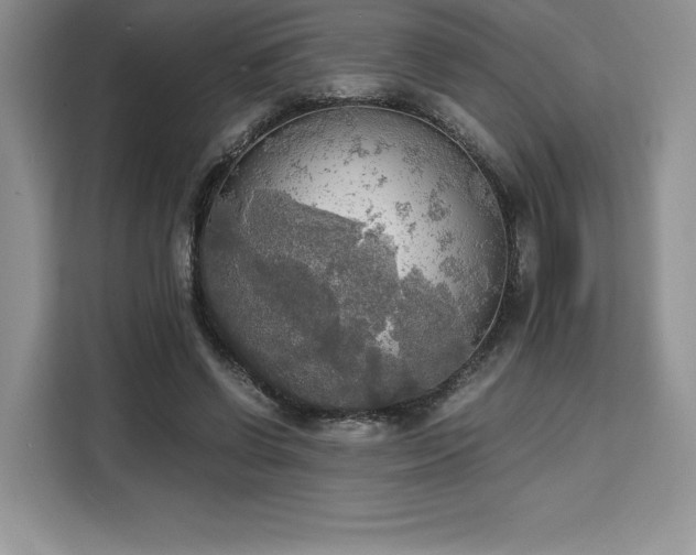 X0000110320542200905211528