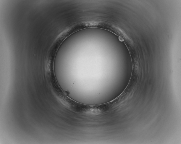 X0000110320543200905211528