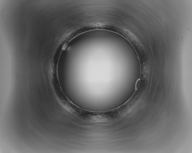 X0000110320544200905211528