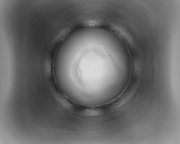 X0000110320545200905211528