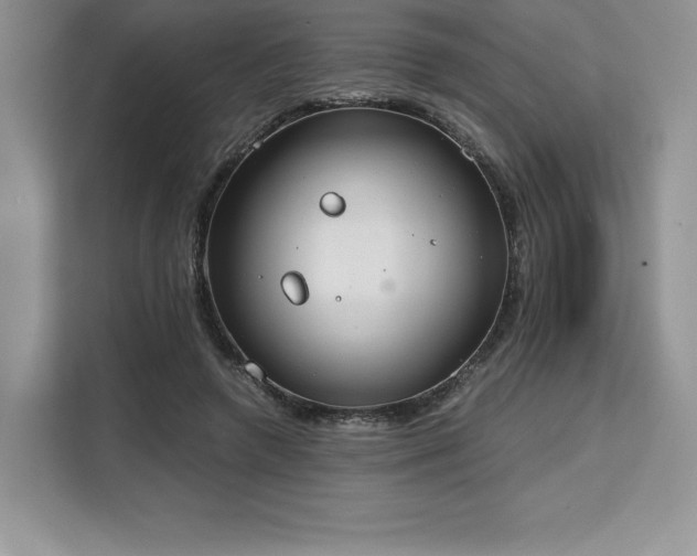 X0000110320546200905211528