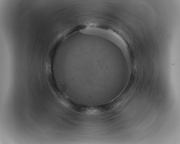 X0000110320547200905211528