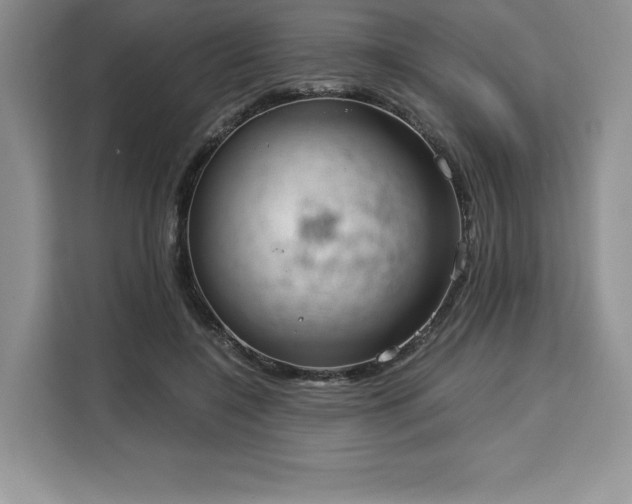 X0000110320548200905211528