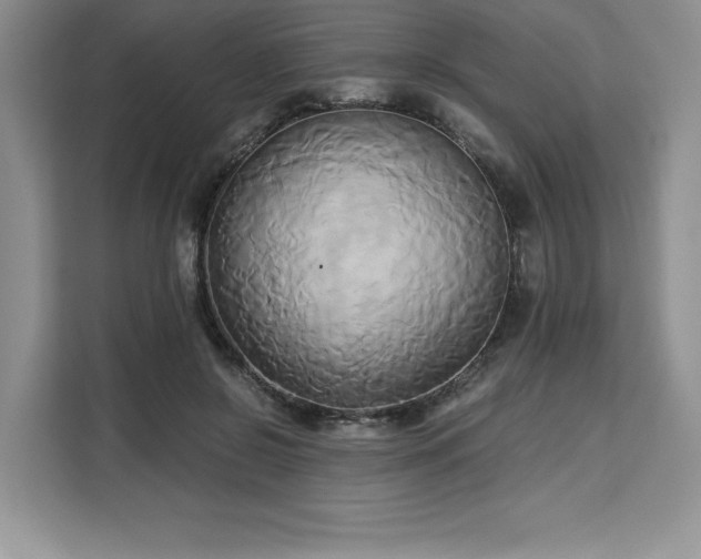X0000110320550200905211528