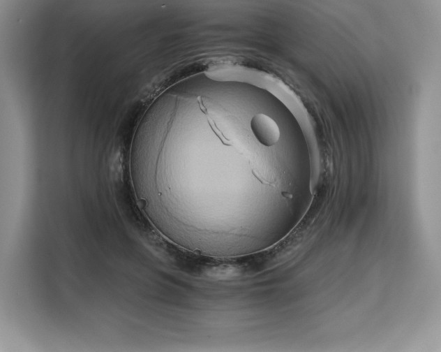 X0000110320551200905211528