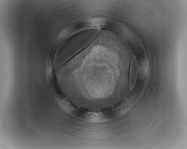 X0000110320552200905211528