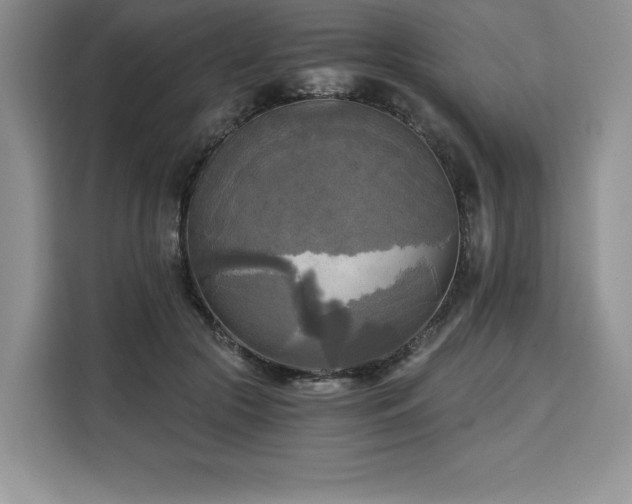 X0000110320553200905211528