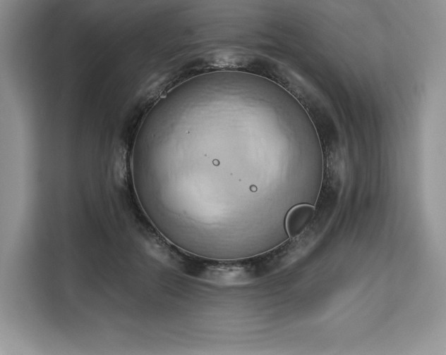 X0000110320554200905211528