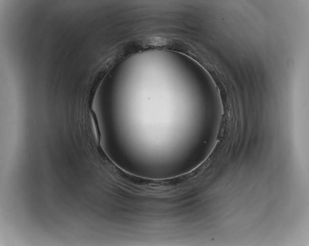X0000110320555200905211528