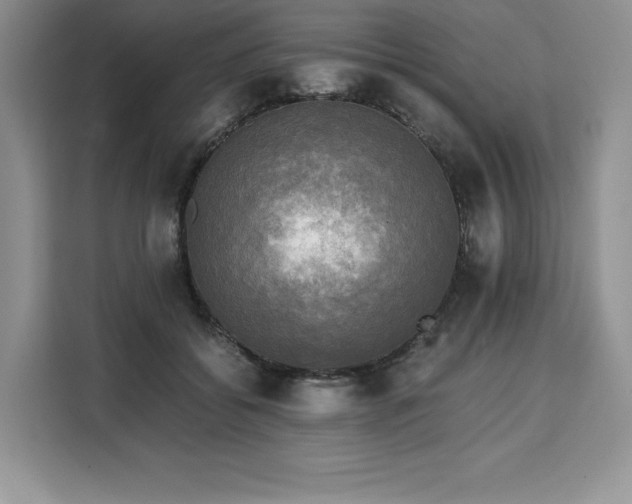 X0000110320556200905211528