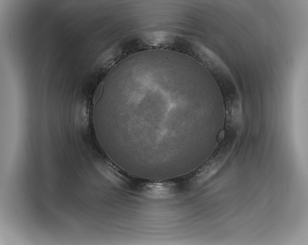 X0000110320558200905211528