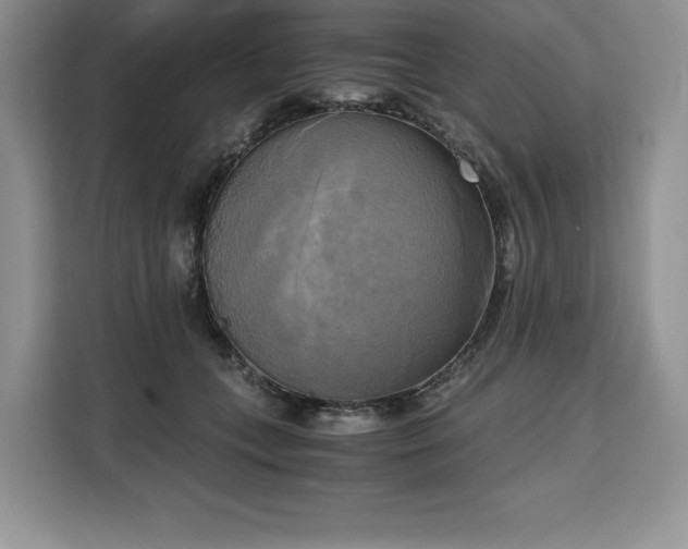 X0000110320559200905211528