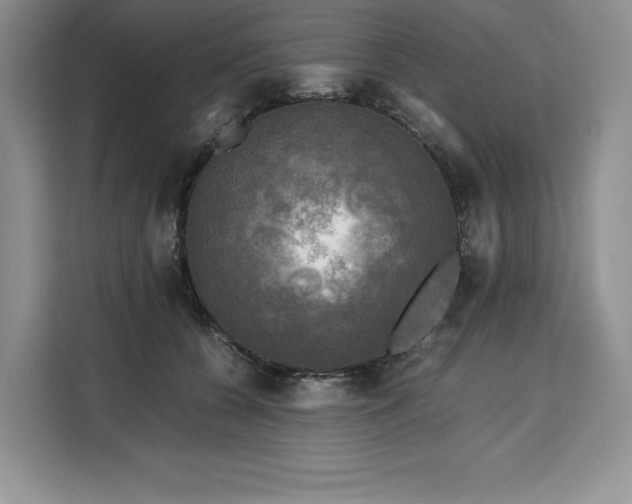 X0000110320560200905211528