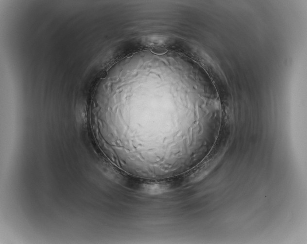 X0000110320561200905211528