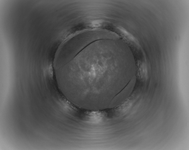 X0000110320562200905211528