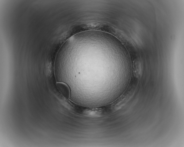 X0000110320563200905211528