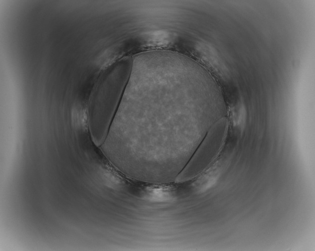 X0000110320564200905211529