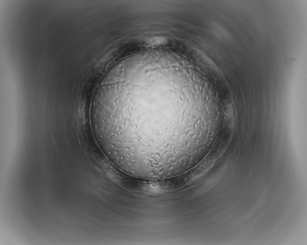 X0000110320565200905211529