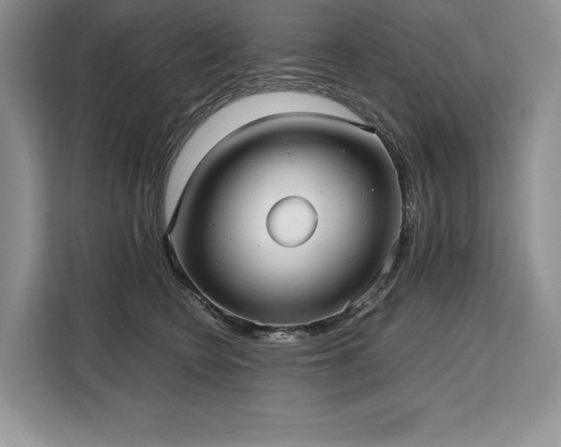 X0000110320566200905211529
