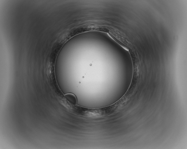 X0000110320567200905211529