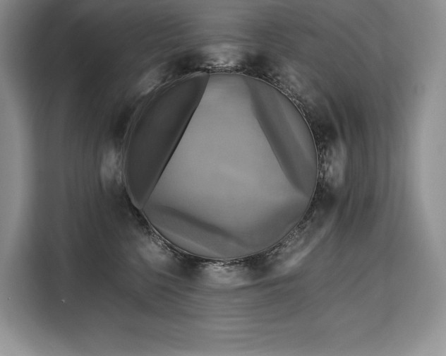 X0000110320568200905211529