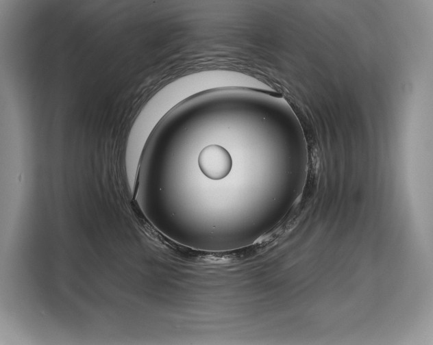 X0000110320570200905211529