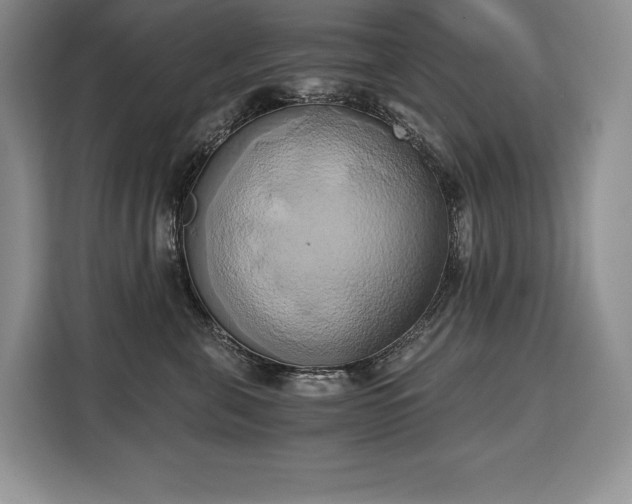 X0000110320571200905211529