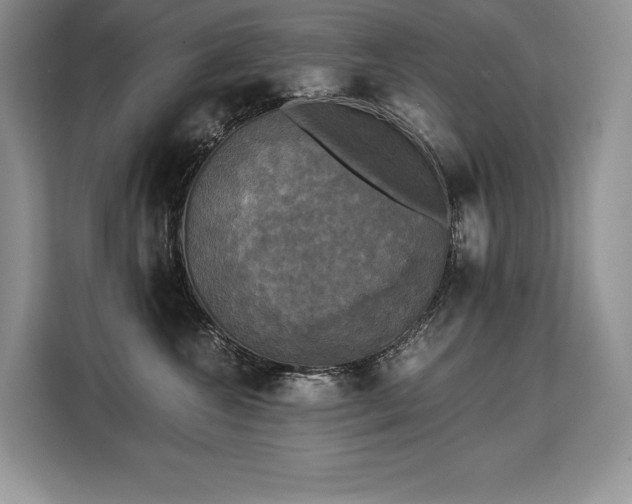 X0000110320572200905211529