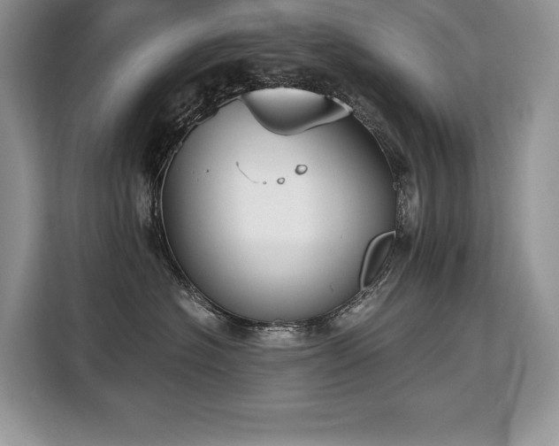X0000110320574200905211529