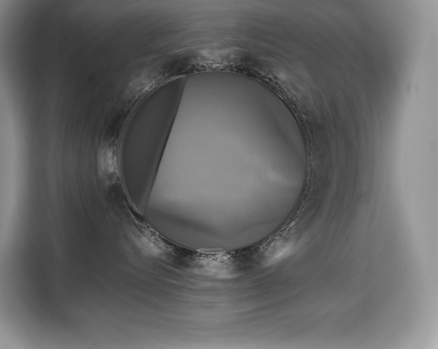X0000110320576200905211529